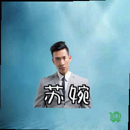 苏婉